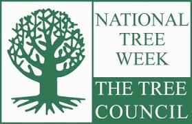Communities encouraged to organise events ahead of National Tree Week – O’Shea