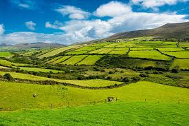 rural ireland