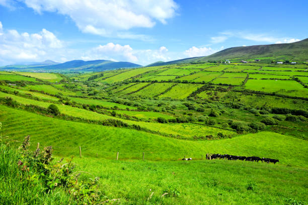 rural ireland