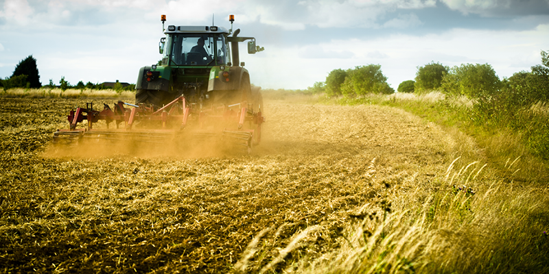 ‘Forgotten Farmers’ in Cork to Benefit from New Scheme