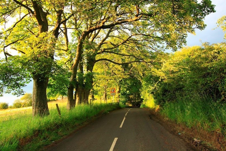 O’Shea Welcomes Record €2.33M Allocation for Cork under Local Improvement Scheme