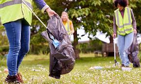 litter 2026