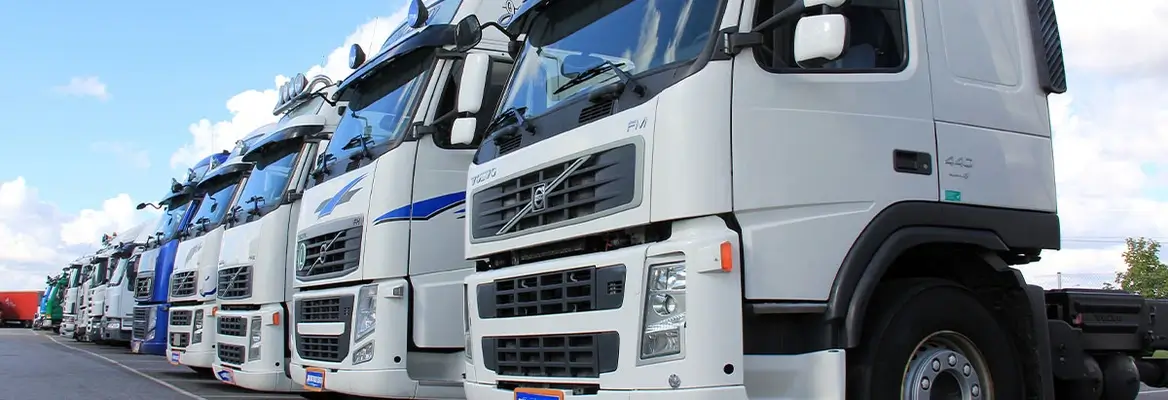 Applications for the €120m Road Transporters Support Scheme Open – O’Shea