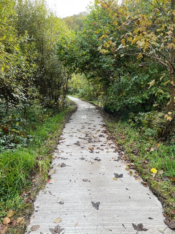 Cork County Council Invites Expressions of Interest Under the 2026/2027 ORIS Scheme
