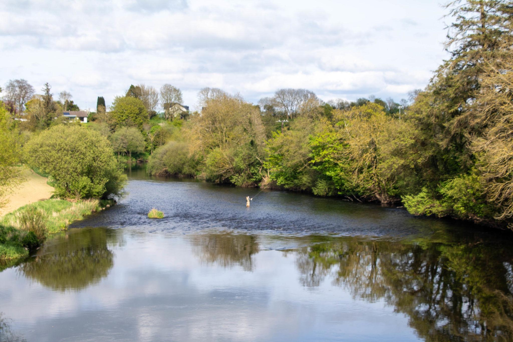 O’Shea Calls for Clear Timelines on Blackwater Fish Kill Recommendations