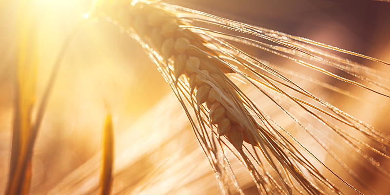 Over 23 million in Eco-Scheme advance payments for Cork farmers